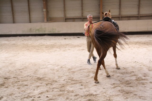 Juin 2010